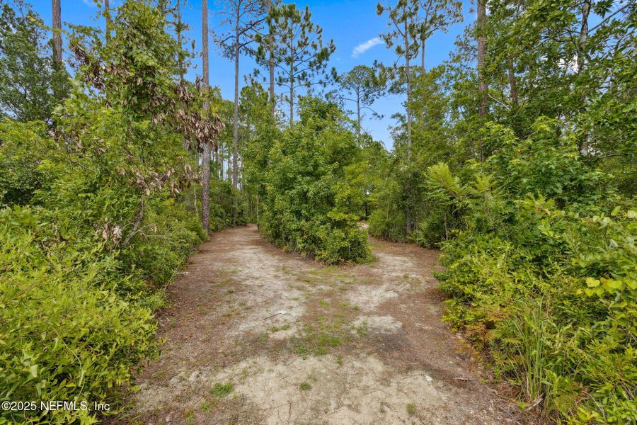 Natural landscape and outdoor views near River Glen in Yulee (Image 59). Natural landscape and outdoor views near River Glen in Yulee (Image 59).