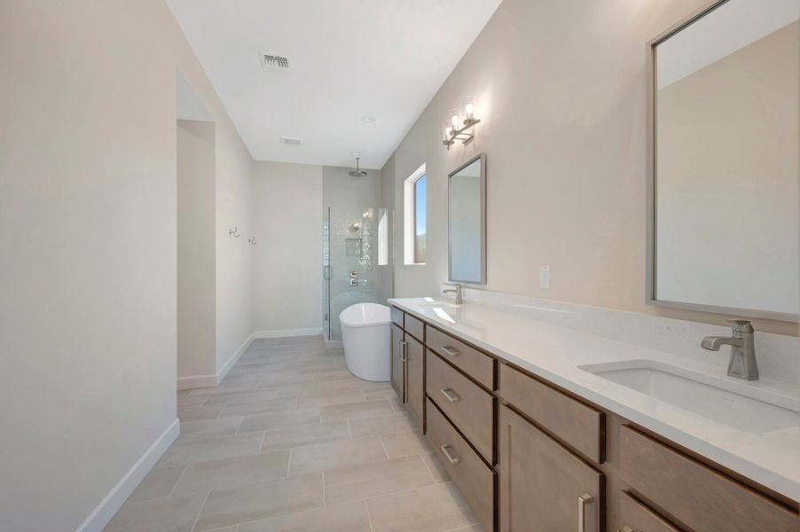 Owner's Bath