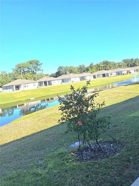 Natural landscape and outdoor views near  in Edgewater (Image 29).