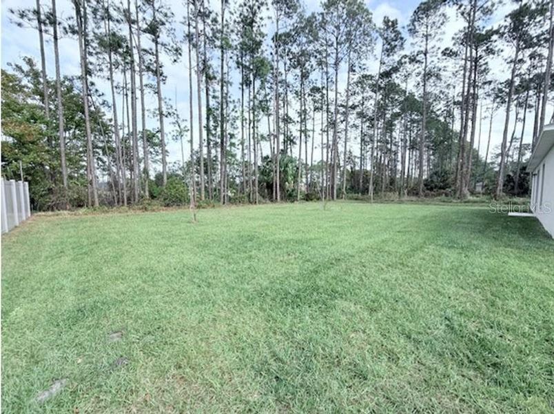 Natural landscape and outdoor views near Palm Coast in Palm Coast (Image 11).