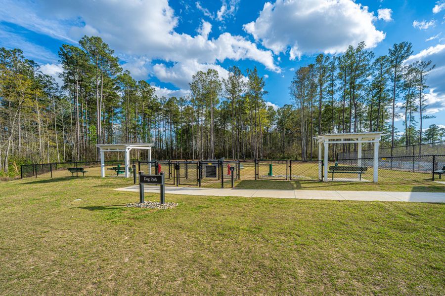 Community amenities in , Summerville (Image 55). Community amenities in , Summerville (Image 55).