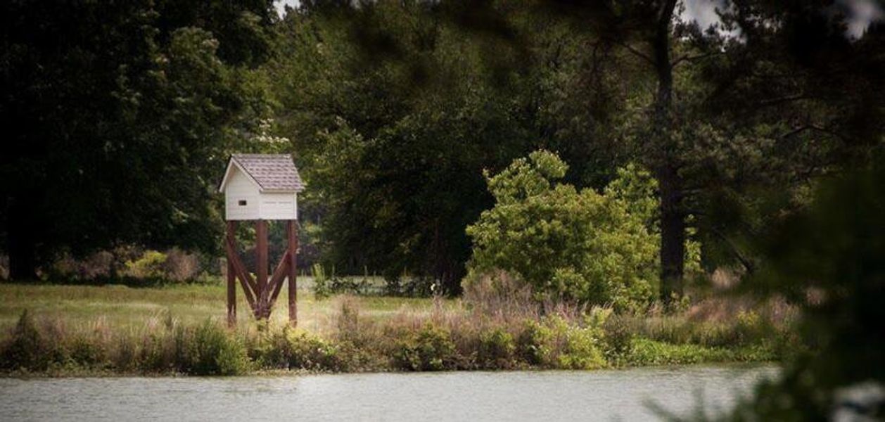 Image 16 of a home in Sweetgrass at Summers Corner: Coastal Collection.