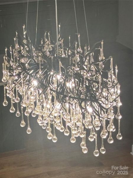 "murano" like light fixtures (drop glass bulbs) "murano" like light fixtures (drop glass bulbs)