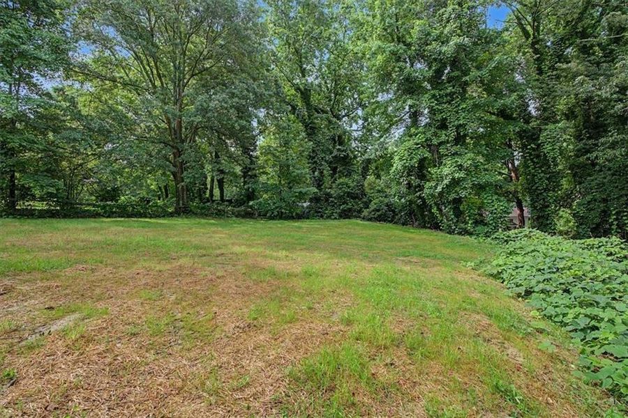 Natural landscape and outdoor views near in Forest Park (Image 34). Natural landscape and outdoor views near in Forest Park (Image 34).