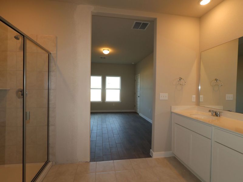Owner's Bathroom