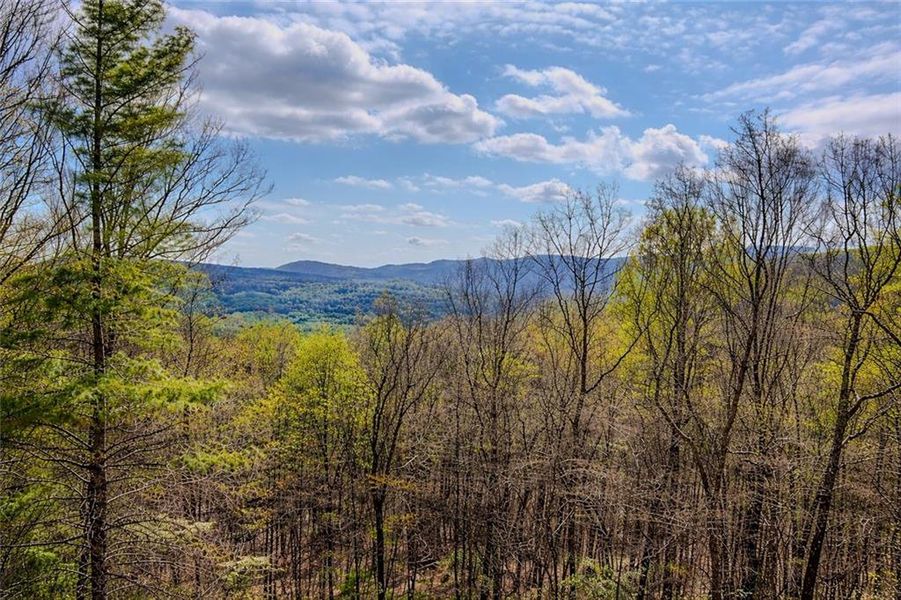 Natural landscape and outdoor views near  in Ellijay (Image 46).
