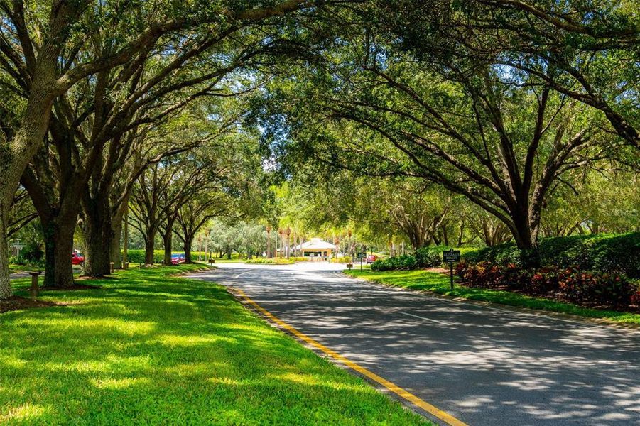 Natural landscape and outdoor views near  in Weeki Wachee (Image 56).