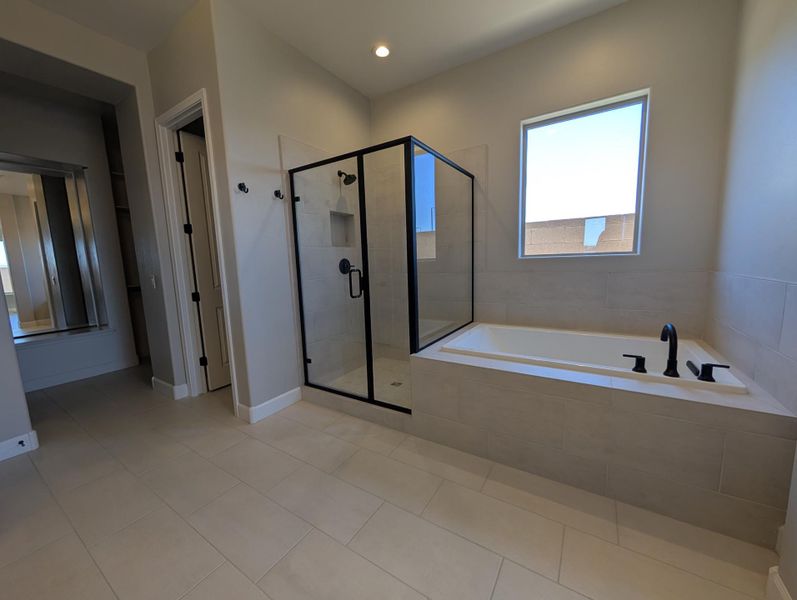 Owner's Bath