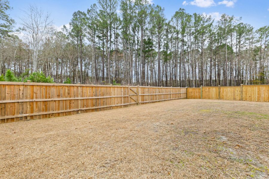 Exterior details and patio area of a home in Sweetgrass at Summers Corner, Summerville (Image 4).