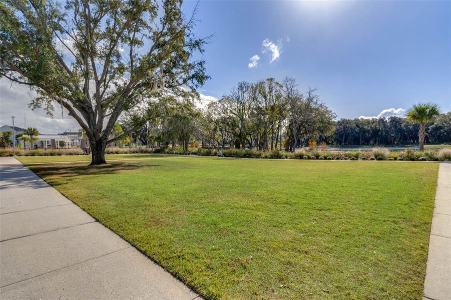 Natural landscape and outdoor views near Oakland Park in Winter Garden (Image 42).