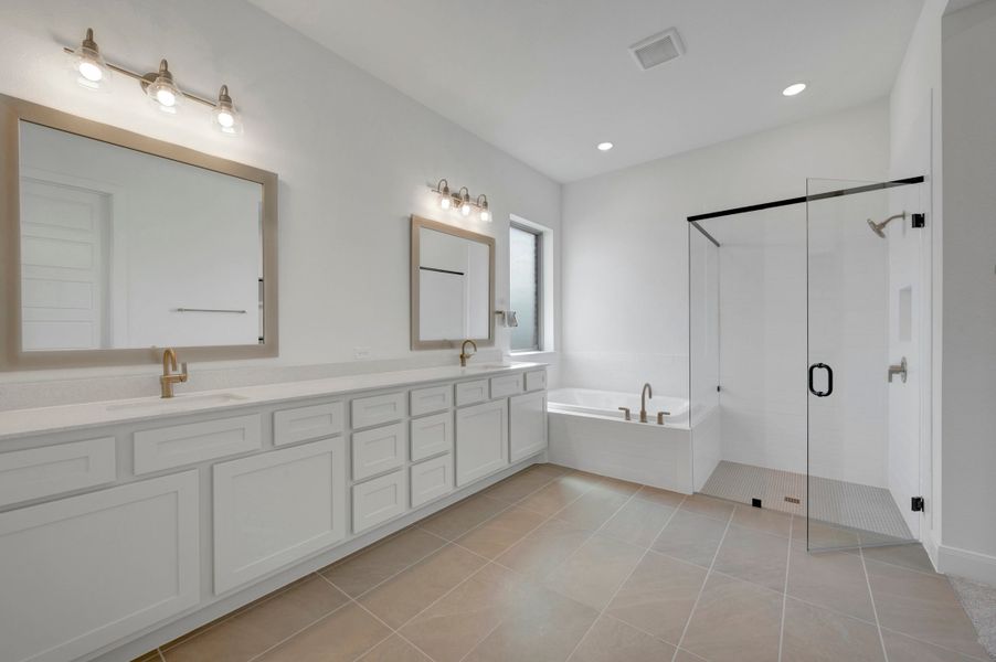 Owner's Bath