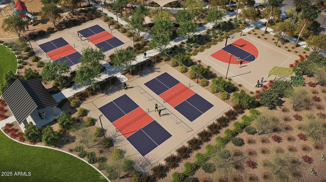 Pickleball Court
