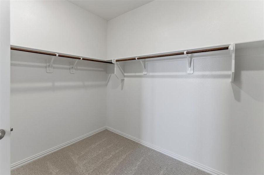 Walk-in closet featuring light-colored carpet flooring, white walls, and built-in shelving with hanging rods