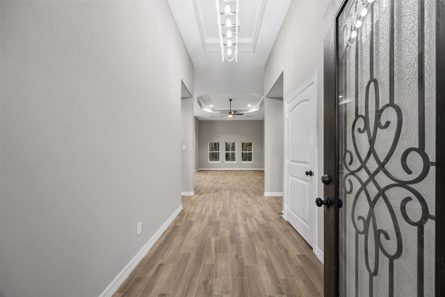 Elegant iron and glass front door Elegant iron and glass front door