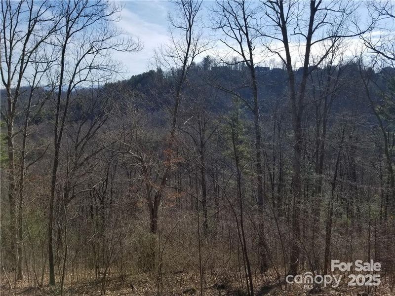 Natural landscape and outdoor views near  in Asheville (Image 9).