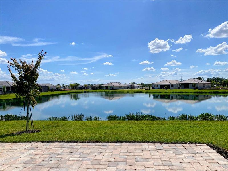 Natural landscape and outdoor views near Valencia Ridge (55+) in Wesley Chapel (Image 24).