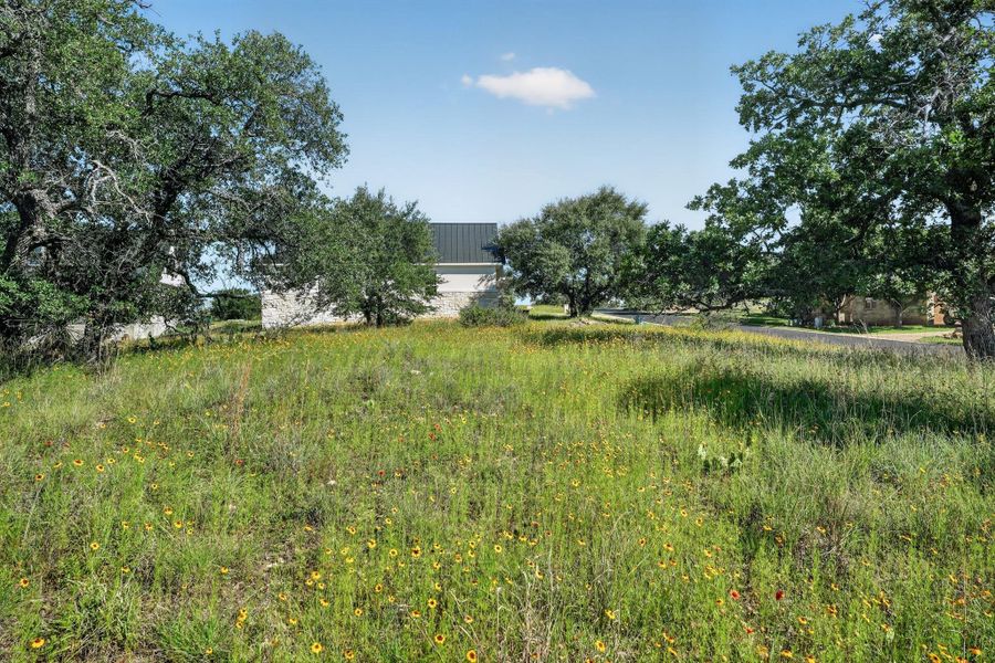 Natural landscape and outdoor views near  in Horseshoe Bay (Image 38).