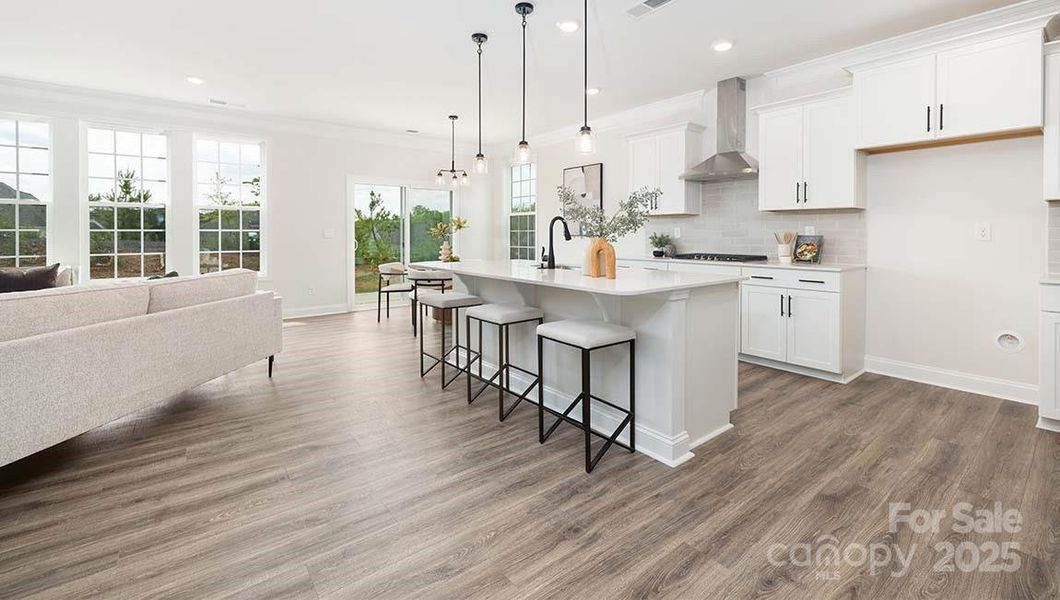 Furnished interior view inside a new home in Falls Cove, Troutman (Image 4).
