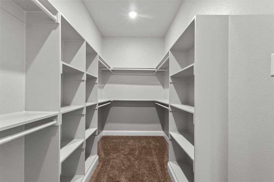 Walk in closet with  carpet