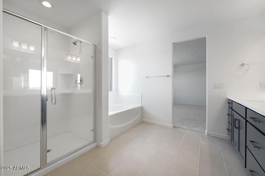 4158 E Ghost Flower Lane - Ready Now 4158 E Ghost Flower Lane - Ready Now