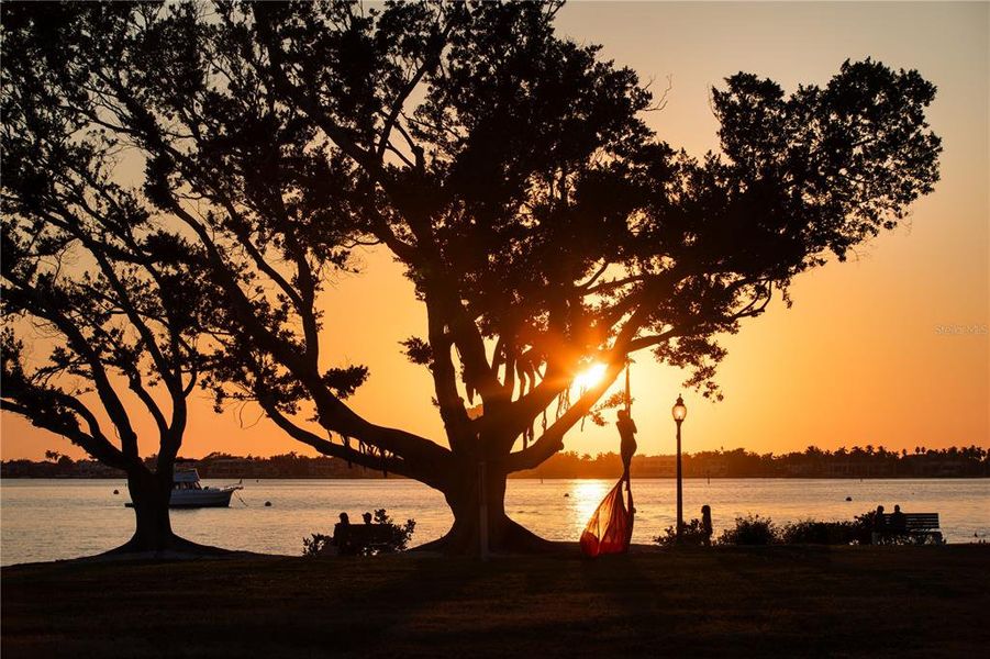Natural landscape and outdoor views near  in Sarasota (Image 12).