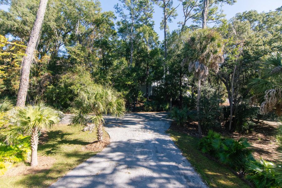 Natural landscape and outdoor views near  in Edisto Island (Image 37).
