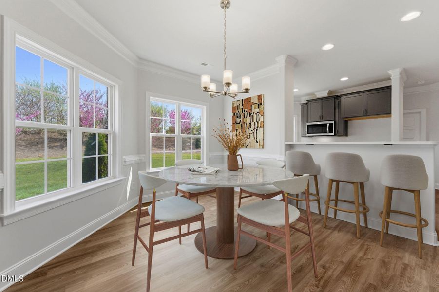 8-web-or-mls-DSC05683-01-vs