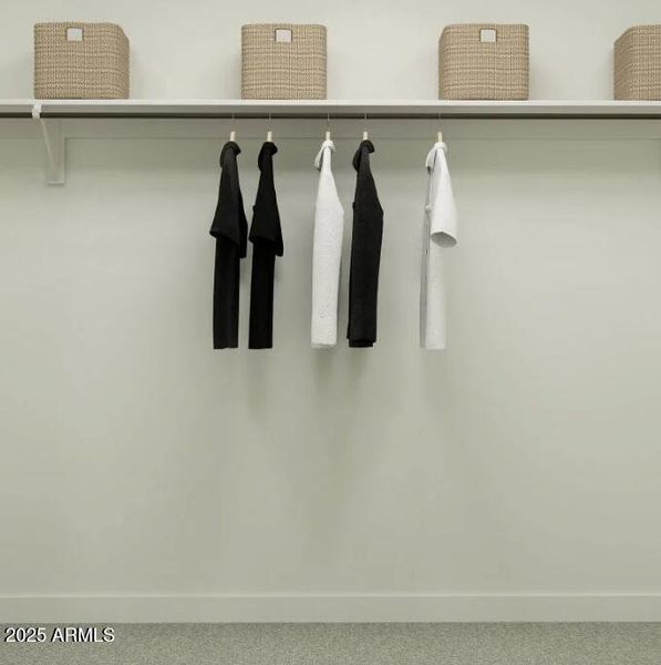 Owners Walk in Closet