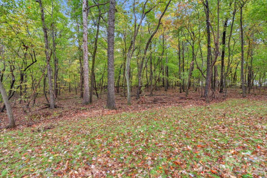 Natural landscape and outdoor views near  in Monroe (Image 46).