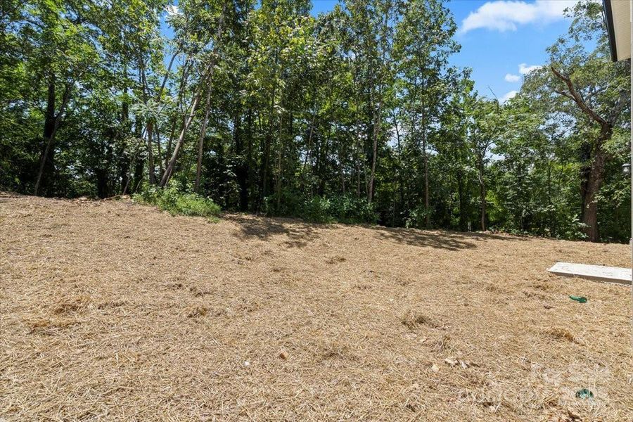 Exterior details and patio area of a home in , Albemarle (Image 3).