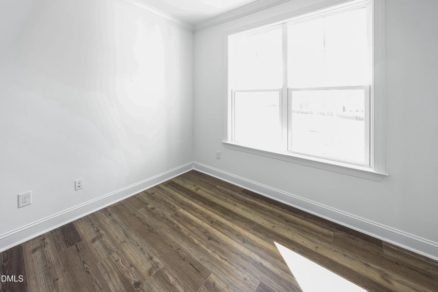 SUN_Stoneriver_Pic_Dalton_Study_2of3