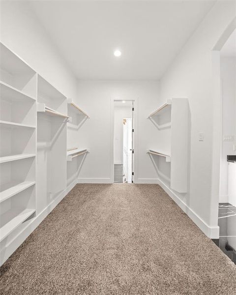 Walk in closet with carpet floors Walk in closet with carpet floors