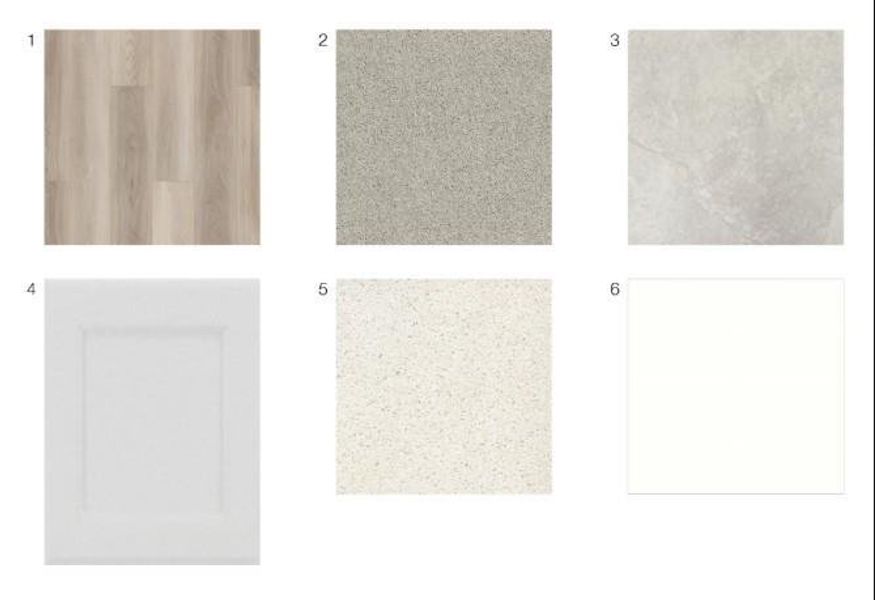 9638 Pink Lotus Court design selections! This home is currently under construction and selections are subject to change.