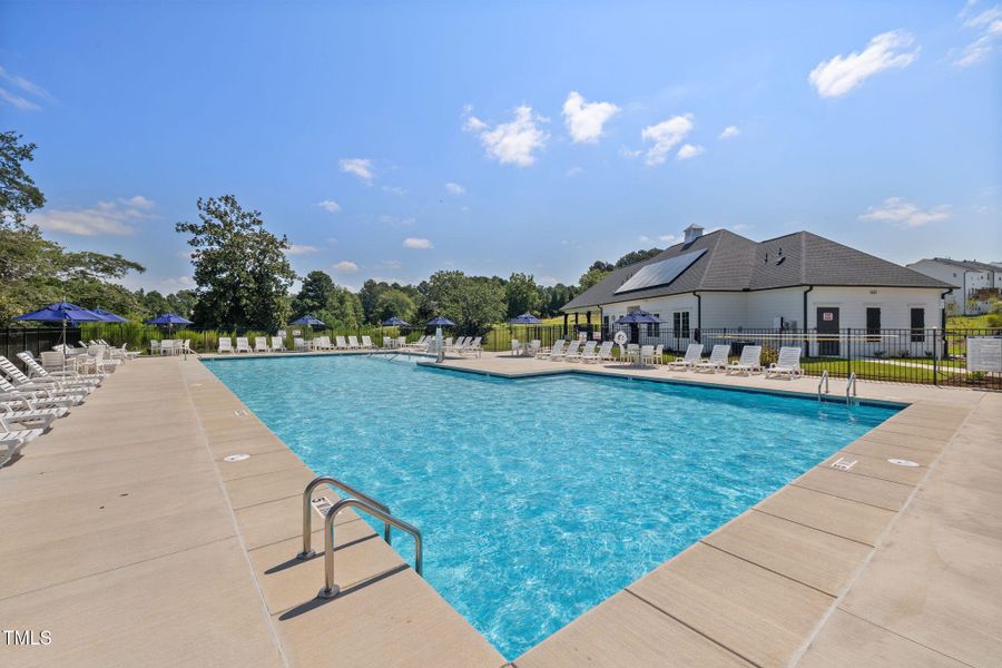 5-web-or-mls-DX3A1444