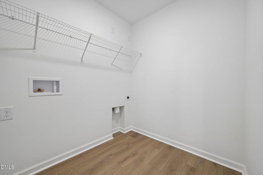 30-web-or-mls-Salers Loop-S1606-030