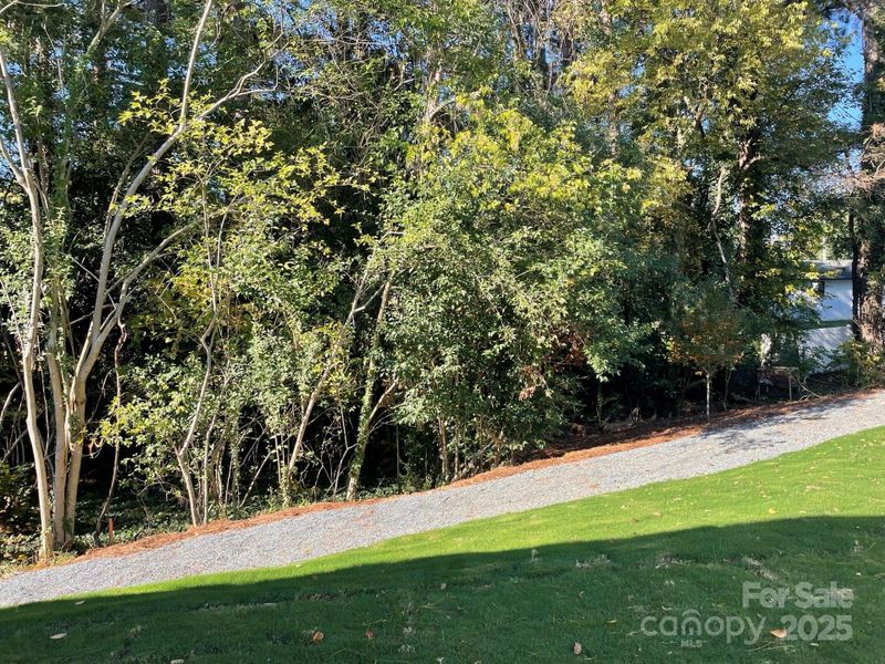 Backs to tree and walking trail