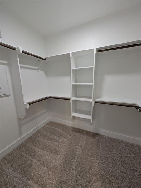 Spacious closet featuring carpet