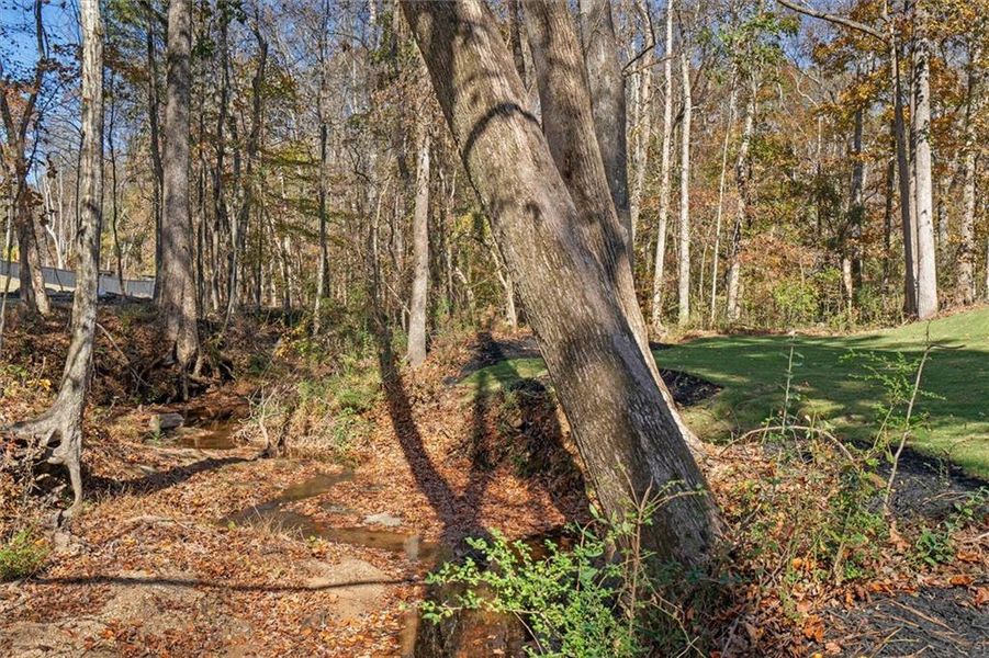 Exterior details and patio area of a home in , Villa Rica (Image 3). Exterior details and patio area of a home in , Villa Rica (Image 3).
