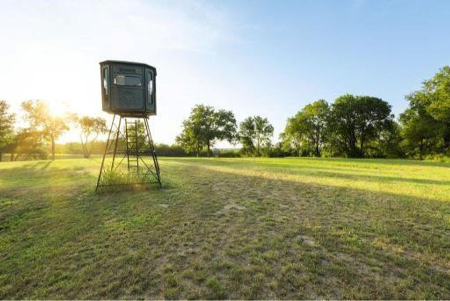 Natural landscape and outdoor views near  in Sherman (Image 20).