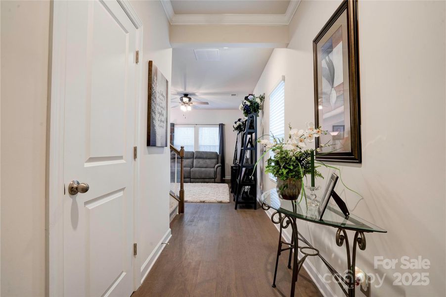 Furnished interior view inside a new home in , Shelby (Image 8).