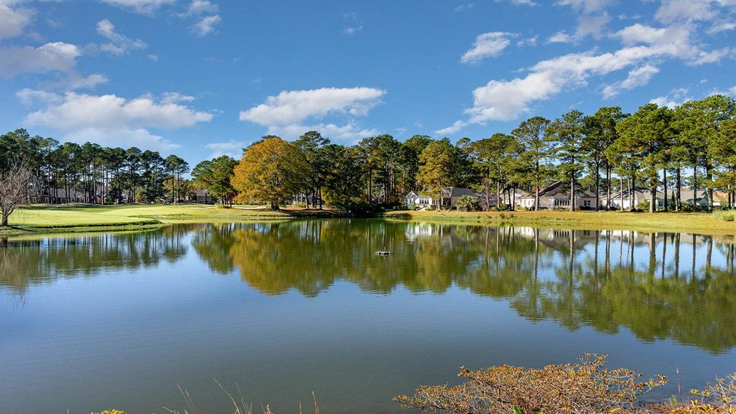 Natural landscape and outdoor views near Brunswick Plantation in Ash (Image 6). Natural landscape and outdoor views near Brunswick Plantation in Ash (Image 6).
