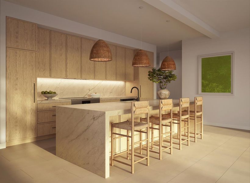 Kitchen Rendering Kitchen Rendering