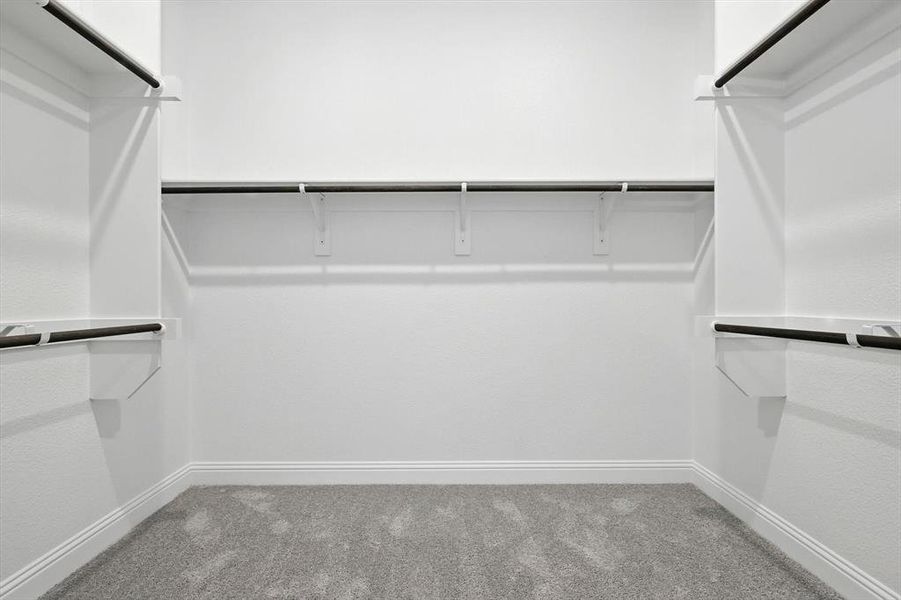 Walk in closet featuring carpet flooring Walk in closet featuring carpet flooring