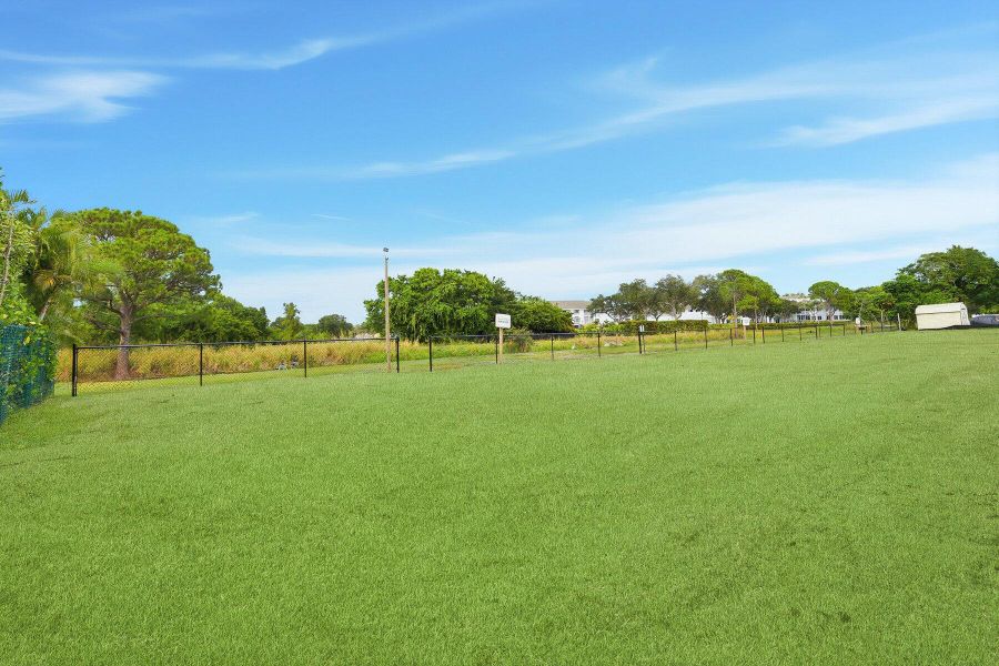 Natural landscape and outdoor views near in Lake Worth (Image 31). Natural landscape and outdoor views near in Lake Worth (Image 31).