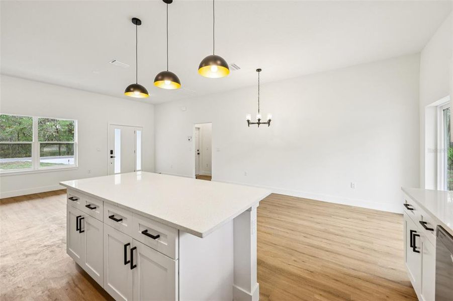 Furnished interior view inside a new home in , Ocklawaha (Image 7).