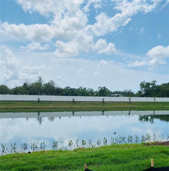Natural landscape and outdoor views near Lakeview Crossing – Classic Series in Sarasota (Image 8).