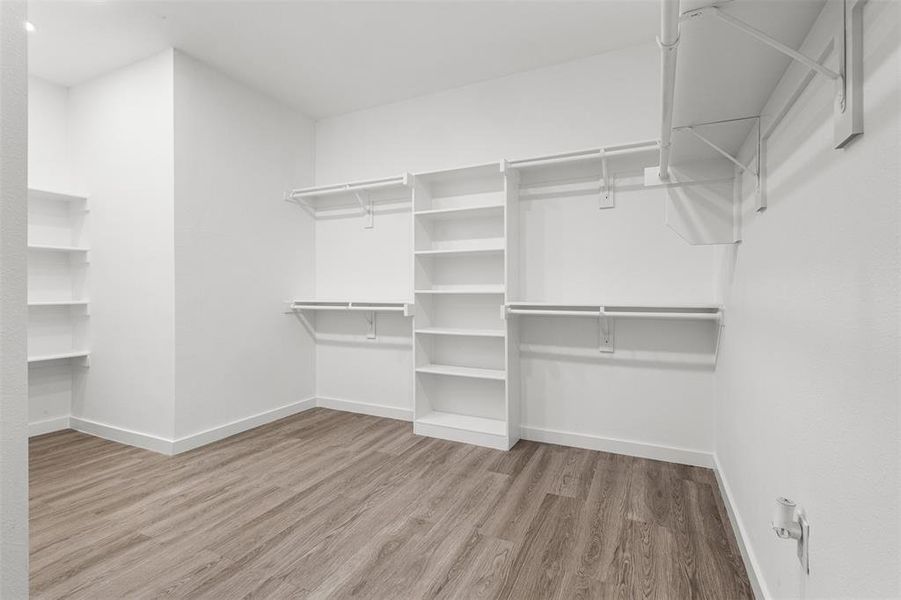 Walk in closet featuring light wood finished floors