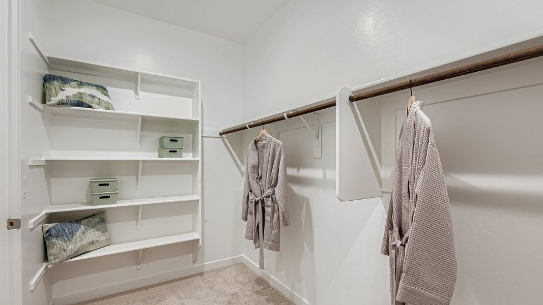 4083 Revoluton Owners WIC F1 Base2 4083 Revoluton Owners WIC F1 Base2