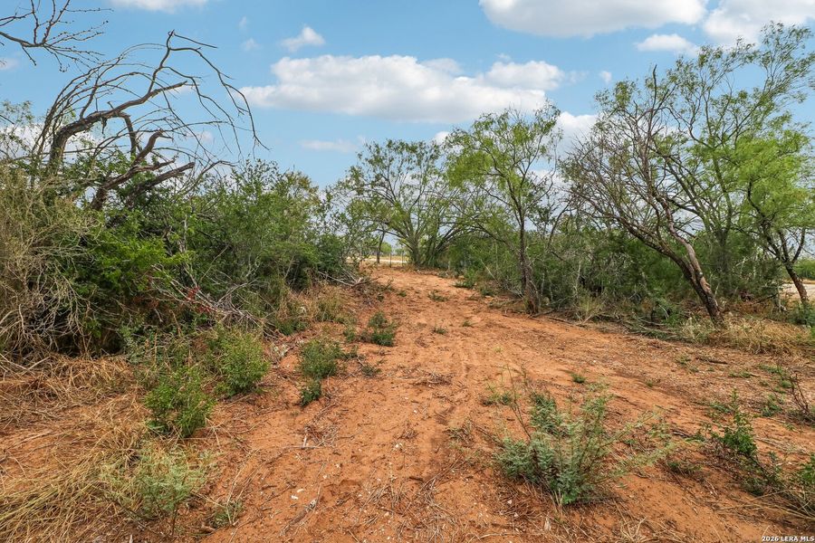 Natural landscape and outdoor views near in Devine (Image 37). Natural landscape and outdoor views near in Devine (Image 37).