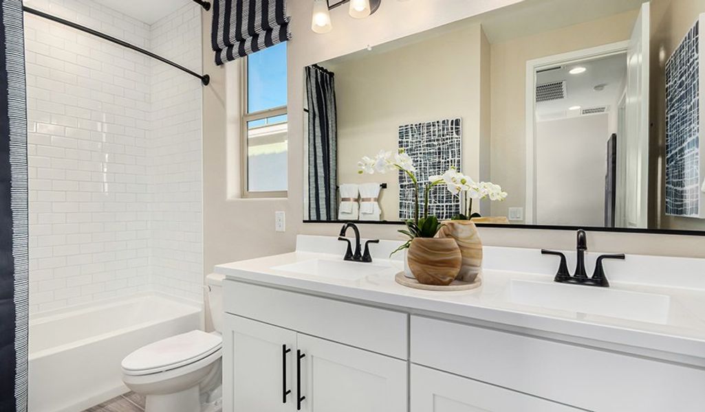 Navy-PB24-FusionBlossom Bathroom